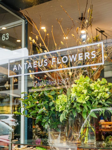 Seasonal. Fresh. Beautiful.

Antaeus Flowers bringing the best of the season together, with branches, blooms and foliage that make you stop and look.

Established in 1987, and still creating something beautiful every day. 💚