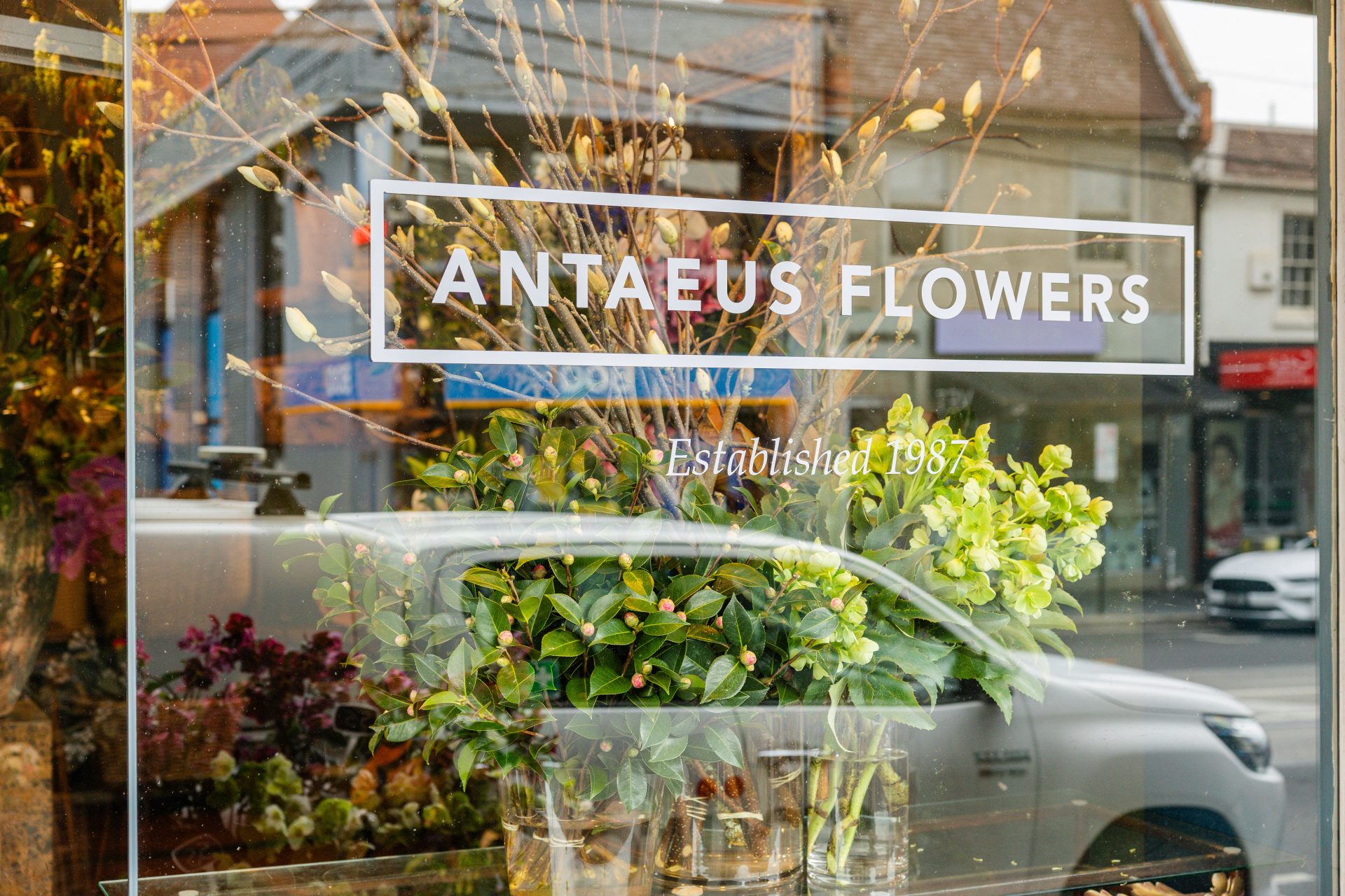 Antaeus Flowers – Timeless Floral Design in South Yarra
