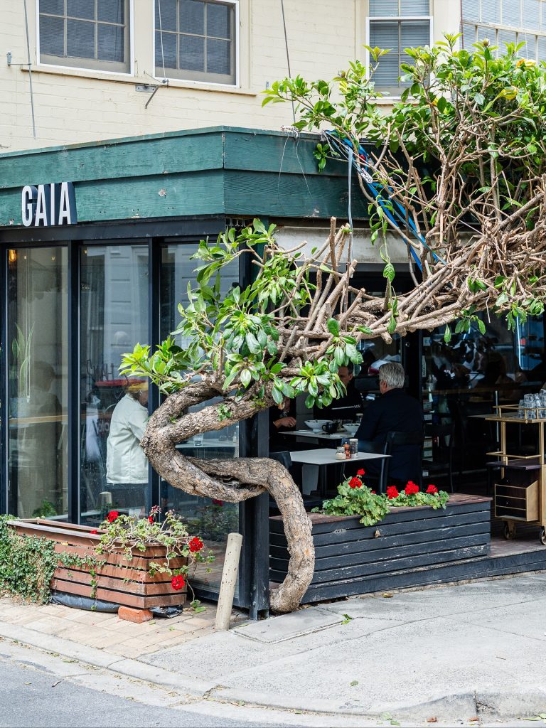 A South Yarra favourite for a reason.
Café Gaia keeps things simple - great coffee, fresh food, friendly faces.
Grab a sunny corner, read the paper, or meet a mate for a long lunch.
It’s that kind of place. ☕🥑

📍 Café Gaia, 4 Avoca Street (off Toorak Road)

#ToorakRoadEats  #SouthYarraLife  #ToorakRoadSouthYarra #SouthYarraCafe