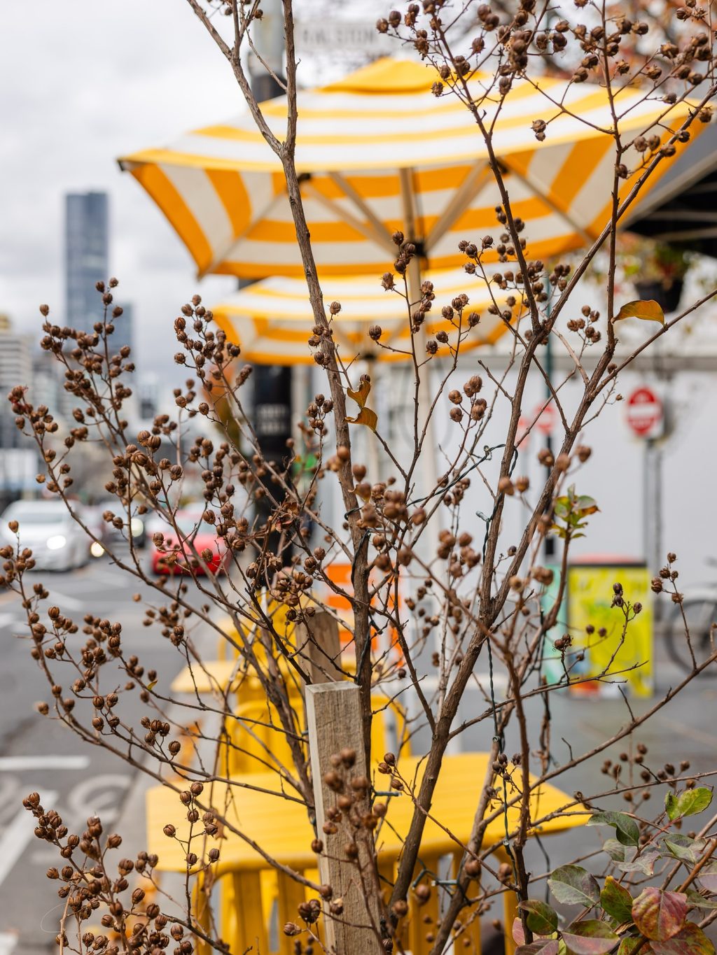 Sunday morning on Toorak Road
Grey skies lifting… is that spring in the air? 🌼
Coffee in hand, a little shopping, and a stroll ~  that’s how we do Sundays in South Yarra.

#ToorakRoadSouthYarra