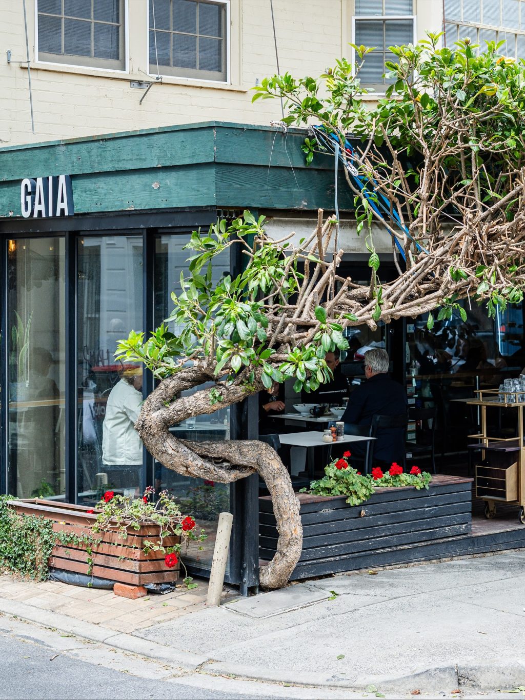 A South Yarra favourite for a reason.
Café Gaia keeps things simple - great coffee, fresh food, friendly faces.
Grab a sunny corner, read the paper, or meet a mate for a long lunch.
It’s that kind of place. ☕🥑

📍 Café Gaia, 4 Avoca Street (off Toorak Road)

#ToorakRoadEats  #SouthYarraLife  #ToorakRoadSouthYarra #SouthYarraCafe
