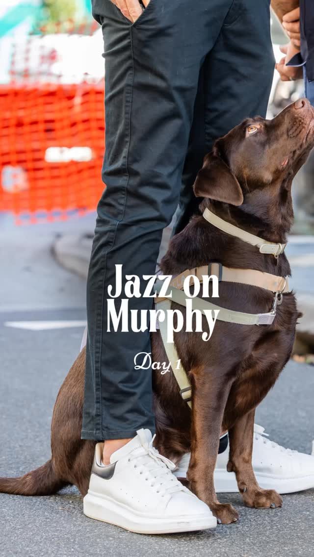 Day one of Jazz on Murphy - and the boys and girls showed up 🐾

Out on Murphy Street, soaking up the sun, watching the crowd, settling in like they’ve done this before.

Leads in hand. Ears up. Right where they want to be.

Back again today 12 - 6.

#JazzOnMurphy