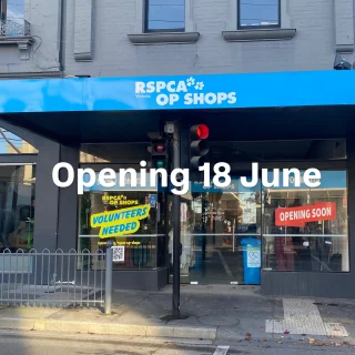 Something new is coming to Toorak Road.

RSPCA Victoria opens its newest Op Shop at 87 Toorak Road, South Yarra on 18 June.

Expect fashion, homewares and plenty of pre-loved finds, all while supporting animal welfare across Victoria.

The arrival of RSPCA Victoria adds another layer to the mix of boutiques, cafés, restaurants and specialty retailers that make South Yarra such a great place to spend an afternoon.

Welcome to the neighbourhood.