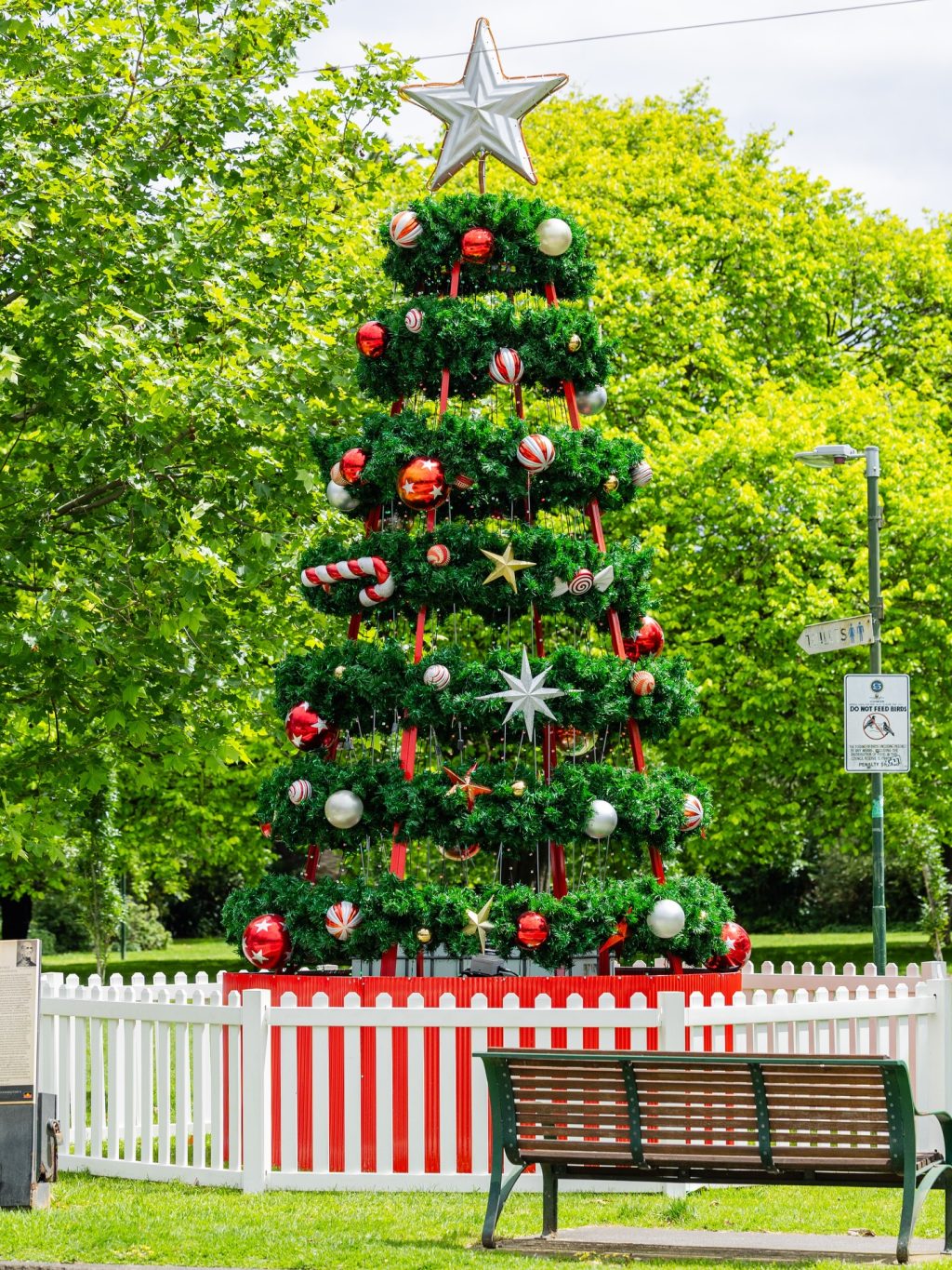 Warm enough today for a quiet sit in Rockley Gardens.
The Christmas tree’s up, the colours are bright, and the park’s looking its best.
A little South Yarra moment before the afternoon picks up again.

#ToorakRoadSouthYarra #SouthYarraLife #MelbourneDays