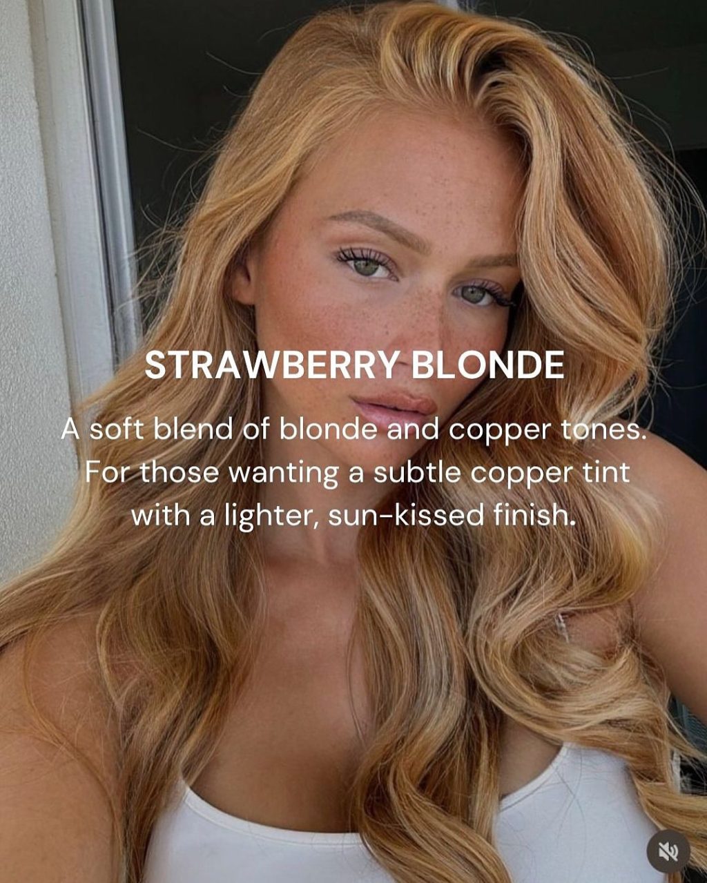 Thinking of going copper but not sure which shade is right for you?
From soft strawberry to bold burnt tones, copper is a vibe—and there’s a version for everyone 🍓🧡🔥
Swipe through to discover the different shades of copper and find your perfect match.
Whether you’re after something soft and sun-kissed or bold and rich, @theaphrodite.studio has you.

Book your consultation today and let’s bring your dream colour to life.
Link in @theaphrodite.studio bio to book.

📍 41 Ralston Street South Yarra