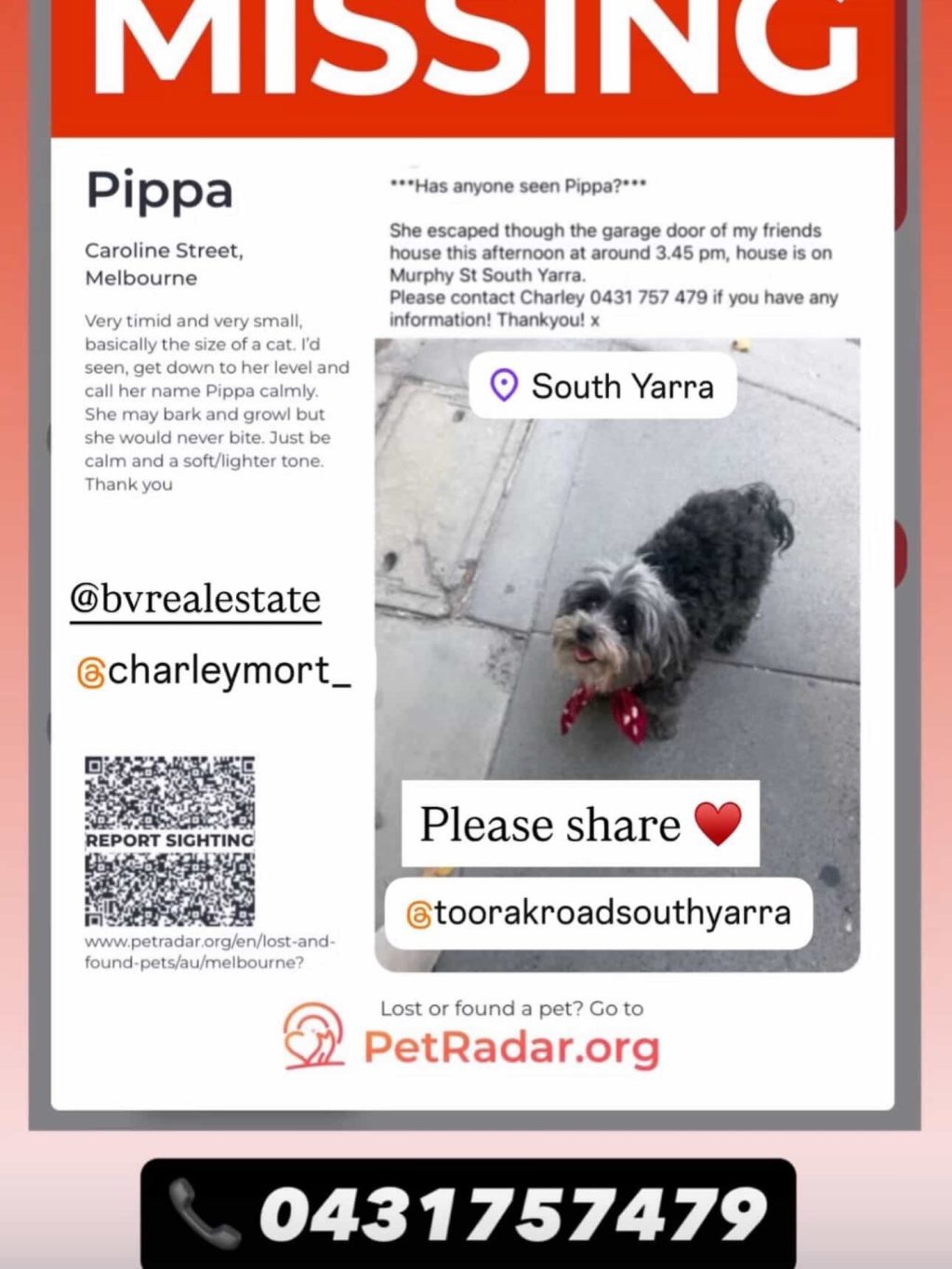 MISSING DOG – SOUTH YARRA

Pippa has gone missing from Murphy Street.

She escaped through a garage around 3.45pm yesterday.

Pippa is small - about the size of a cat. (Pippa is a moodle). She may bark or growl if frightened, but she won’t bite. If you see her, please get down to her level, speak gently and call her name calmly.

If you have any information or sightings, please contact
📞 Charley – 0431 757 479

Please keep an eye out if you’re in the area and share this post to help bring her home.

#SouthYarra #CommunityAlert LostDog