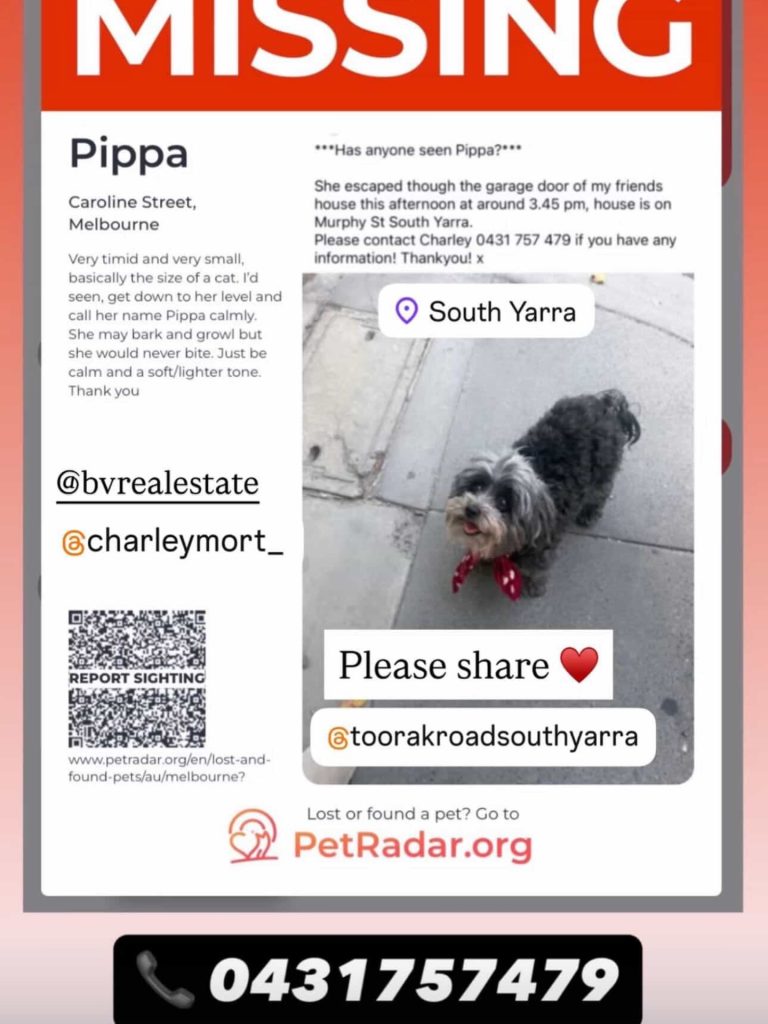 MISSING DOG – SOUTH YARRA

Pippa has gone missing from Murphy Street.

She escaped through a garage around 3.45pm yesterday.

Pippa is small - about the size of a cat. (Pippa is a moodle). She may bark or growl if frightened, but she won’t bite. If you see her, please get down to her level, speak gently and call her name calmly.

If you have any information or sightings, please contact
📞 Charley – 0431 757 479

Please keep an eye out if you’re in the area and share this post to help bring her home.

#SouthYarra #CommunityAlert LostDog