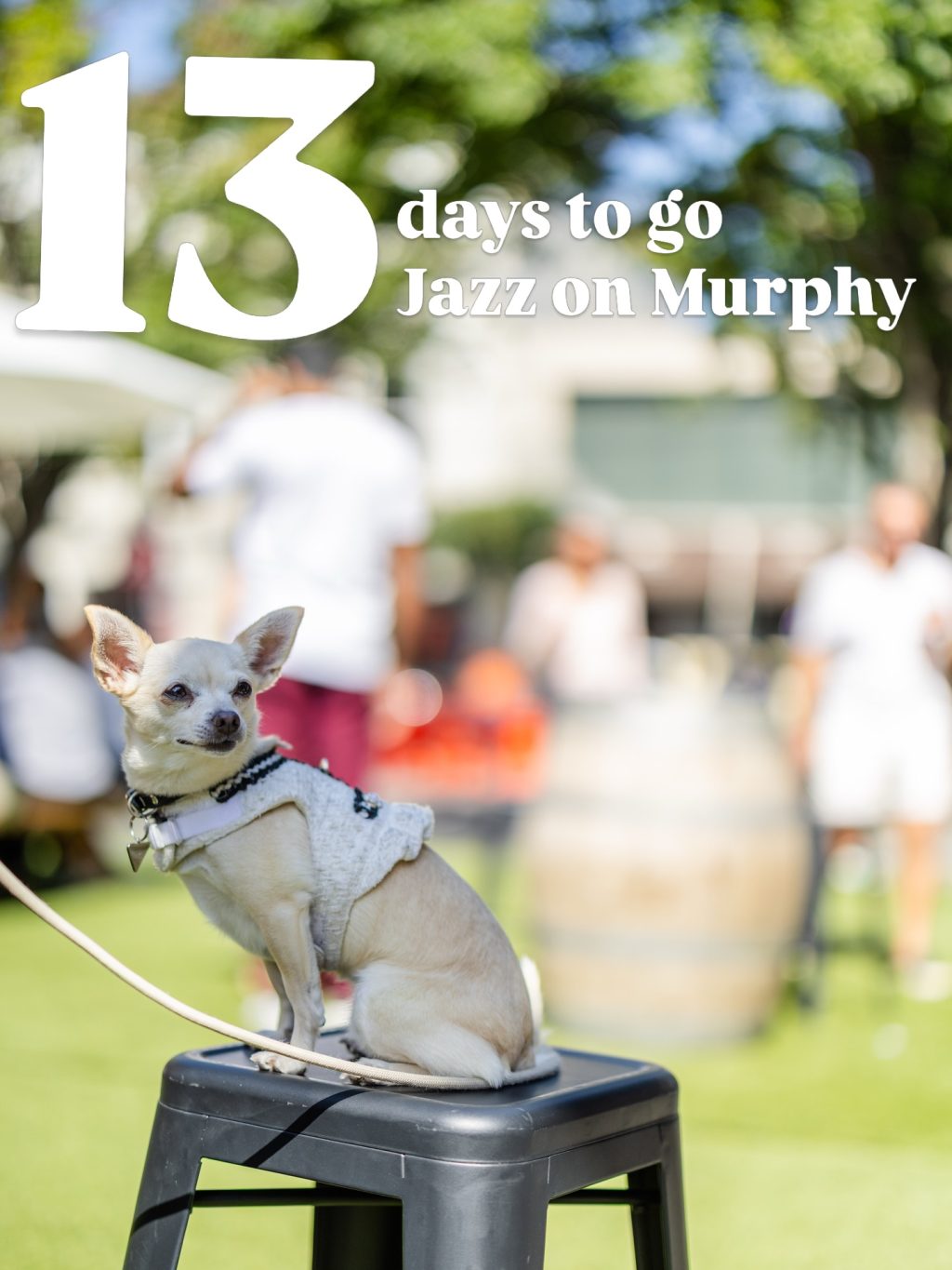 Front row seats for Jazz on Murphy. 🐾

Just 13 days to go until Murphy Street fills with live music, great atmosphere and plenty of four-legged visitors.

Bring your friends, bring the family, and bring the pups along for the day.

28–29 March on Murphy Street.

Head to the link in our bio for the full band line-up and performance times.