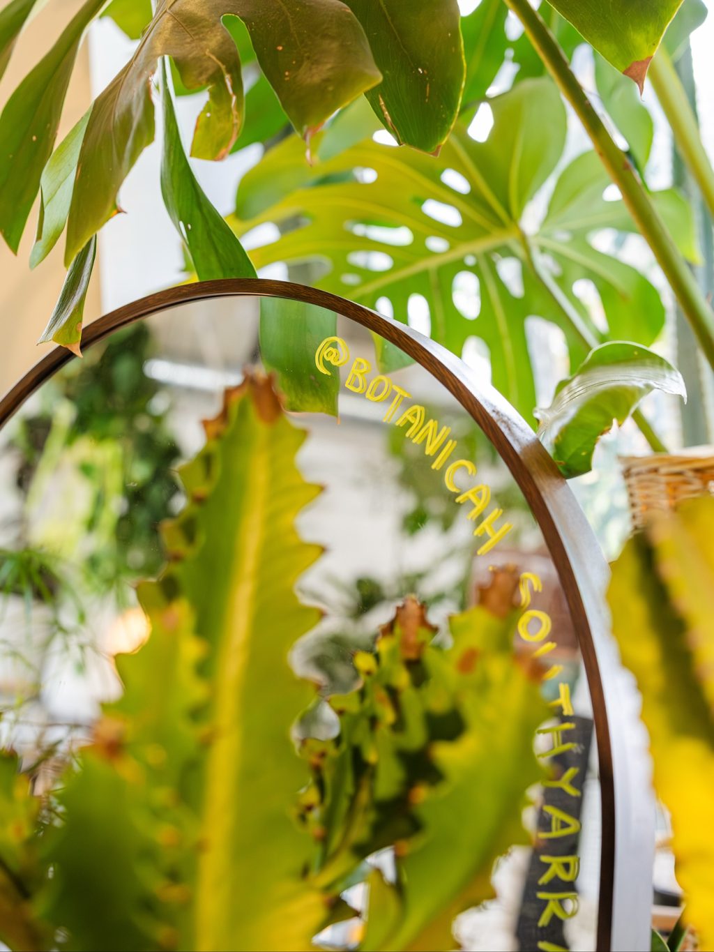 Lush greenery, sculptural pots and tropical vibes - Botanicah South Yarra is a little urban oasis on Toorak Road. From statement indoor plants to petite potted gifts, every corner is overflowing with colour and texture.

Perfect for those who like their homes (and balconies) a little more alive.

📍@botanicah_southyarra | 155 Toorak Road South Yarra

#ToorakRoadSouthYarra #SouthYarraLife #BotanicahSouthYarra #PlantLovers