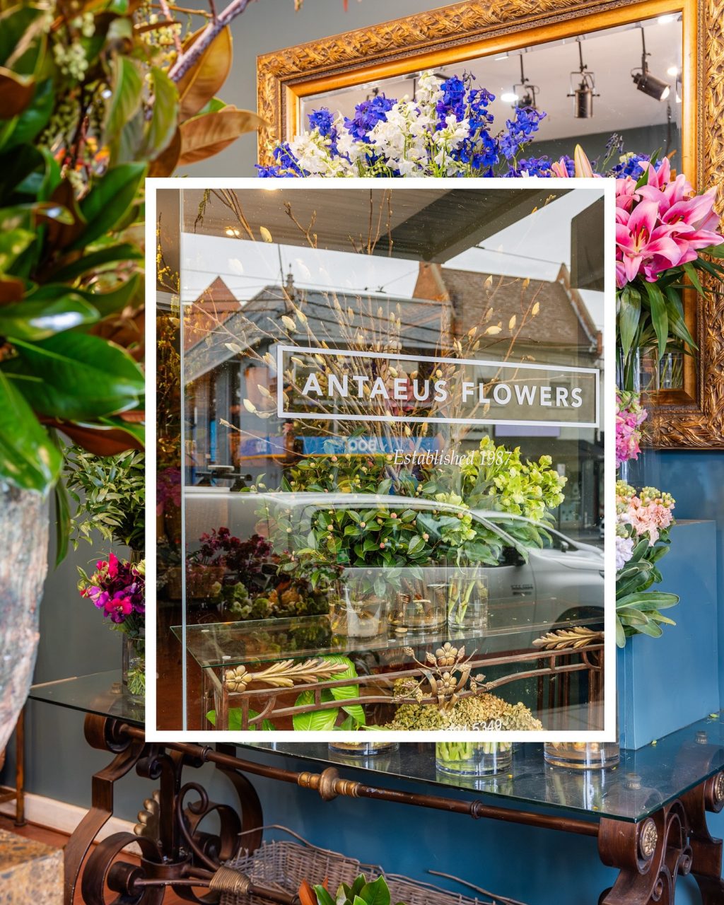 Walking down Toorak Road, it’s impossible to miss the colour spilling from Antaeus Flowers.

Since 1984, this South Yarra favourite has been creating arrangements that are full of life and personality. From orchids and lilies to seasonal stems, every bouquet is crafted with care and a love for flowers that shines through. Whether it’s for a gift, a celebration, or simply to brighten the day, Antaeus brings warmth and beauty to every occasion.

📍 63 Toorak Road, South Yarra

#ToorakRoadSouthYarra  #AntaeusFlowers #Florist