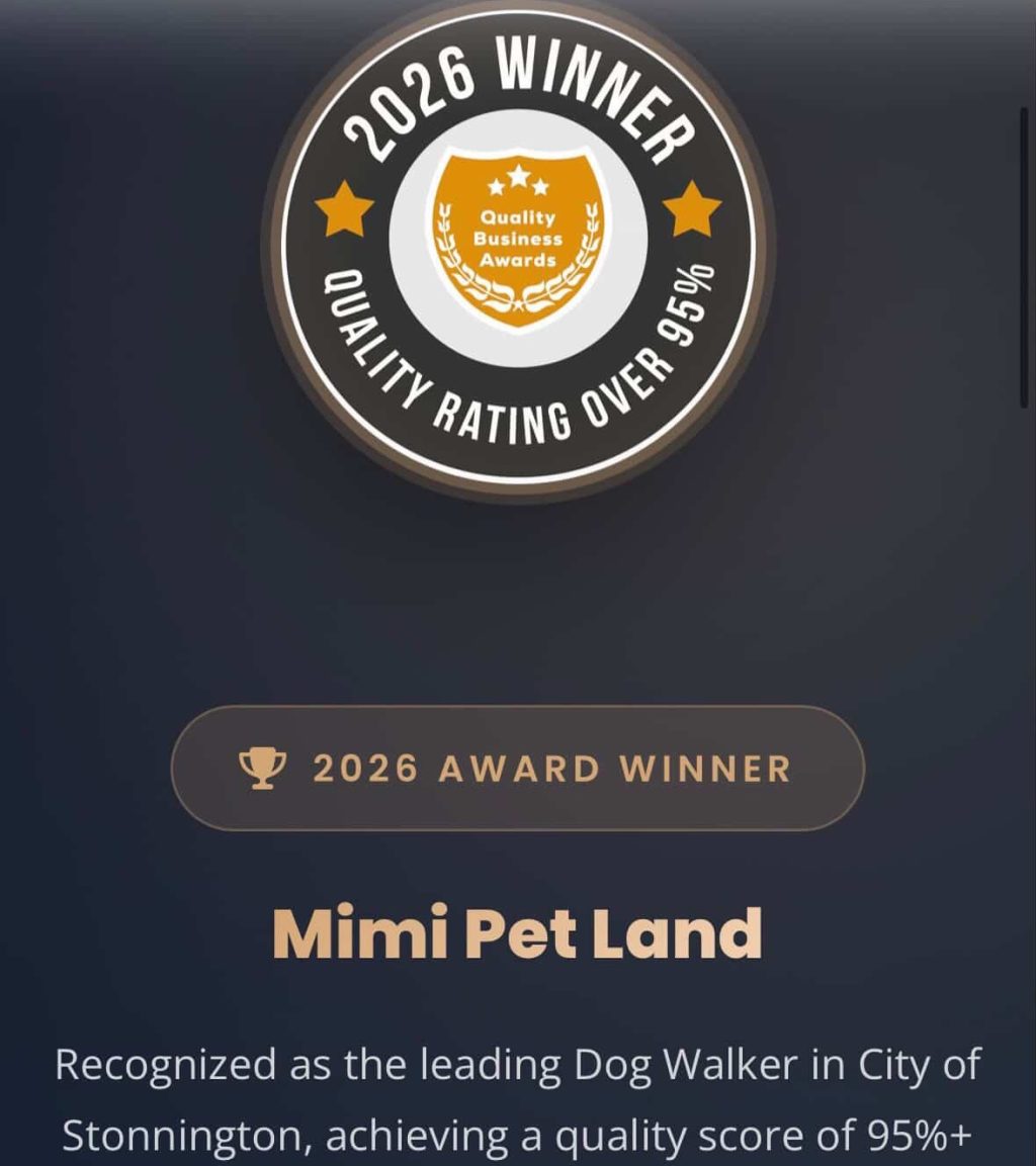 A big congratulations to Mimi Pet Land - one of our own here in South Yarra - on being named Stonnington’s #1 dog walker.

If you’ve ever seen Mimi out and about, this won’t surprise you. Rain, sunshine, busy days or quiet ones… the dogs are always happy, and the care is always there.

It’s the kind of work people notice over time - the consistency, the trust, the little things done properly, day after day.

Well deserved recognition for a local business doing things right.

We love seeing it 👏