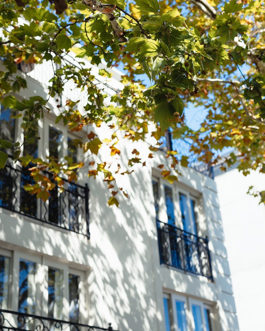 A peaceful escape tucked just off Toorak Road. The Lyall offers quiet luxury and refined comfort on leafy Murphy Street—moments from the best of South Yarra.

📍 The Lyall Hotel
  16 Murphy Street South Yarra