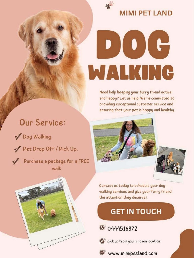 🐾 Dog walking in South Yarra 🐾
Mimi Pet Land keeps local pups happy, healthy, and on the move. From daily walks to pick-up and drop-off services, every outing is about care and attention.

📍 Based in South Yarra
📞 0444 516 372
🌐 www.mimipetland.com

Because every dog deserves their walk. 🐶

#SouthYarra #DogWalking #ToorakRoadSouthYarra #SouthYarraDogs #MelbournePets